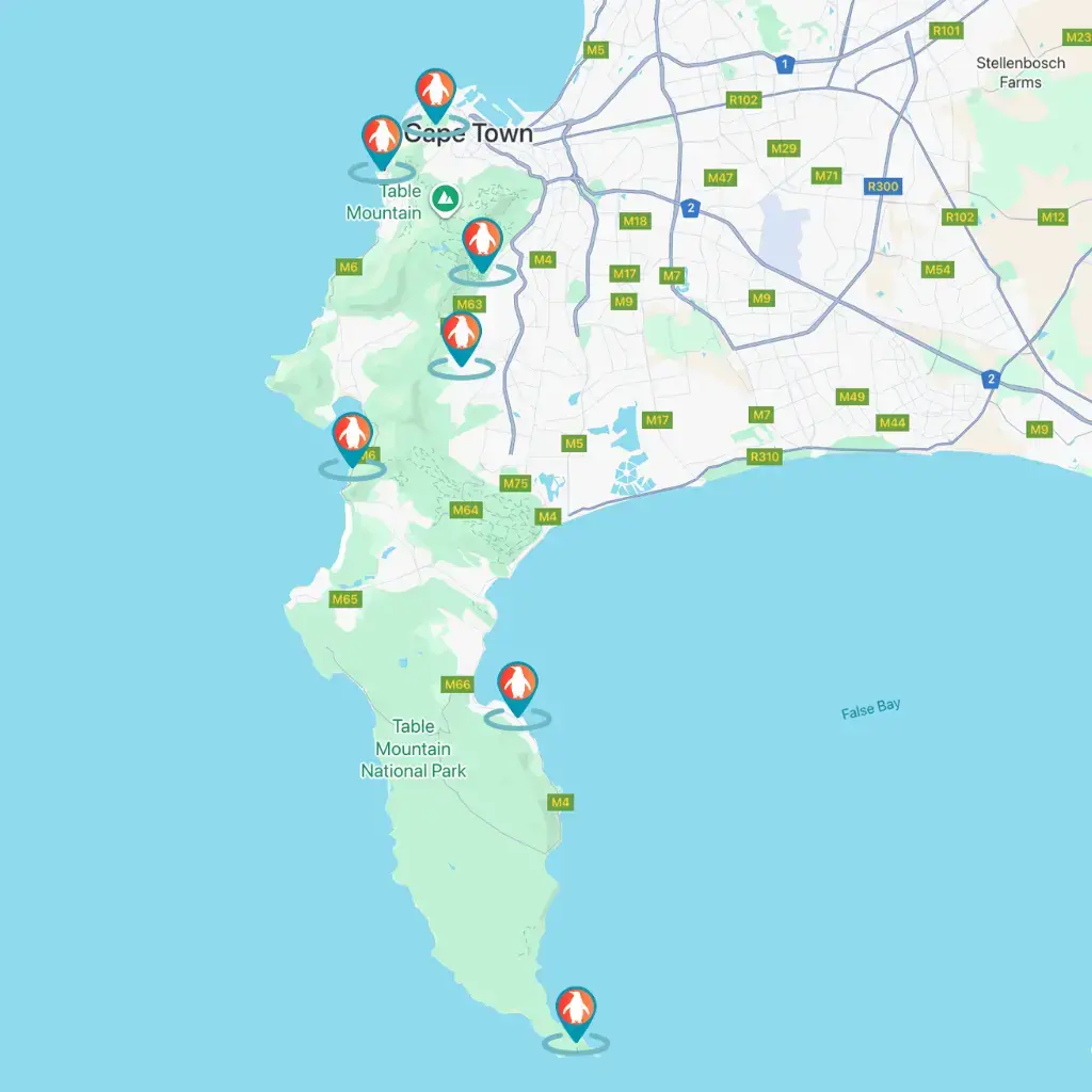 CapeQuest_Cape_Town_Things_To_Do